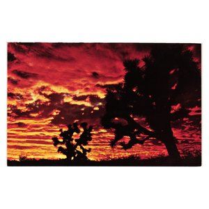 Vintage Postcard Sunset in Joshualand Joshua Tree Desert